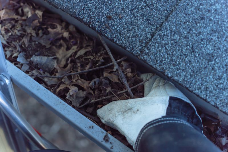 Gutter debris removal process